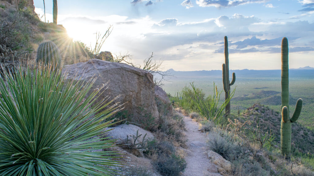 COMMUNITIES-FAIRFIELD-DOVEMOUNTAIN-COMMUNITYIMAGE-–-6