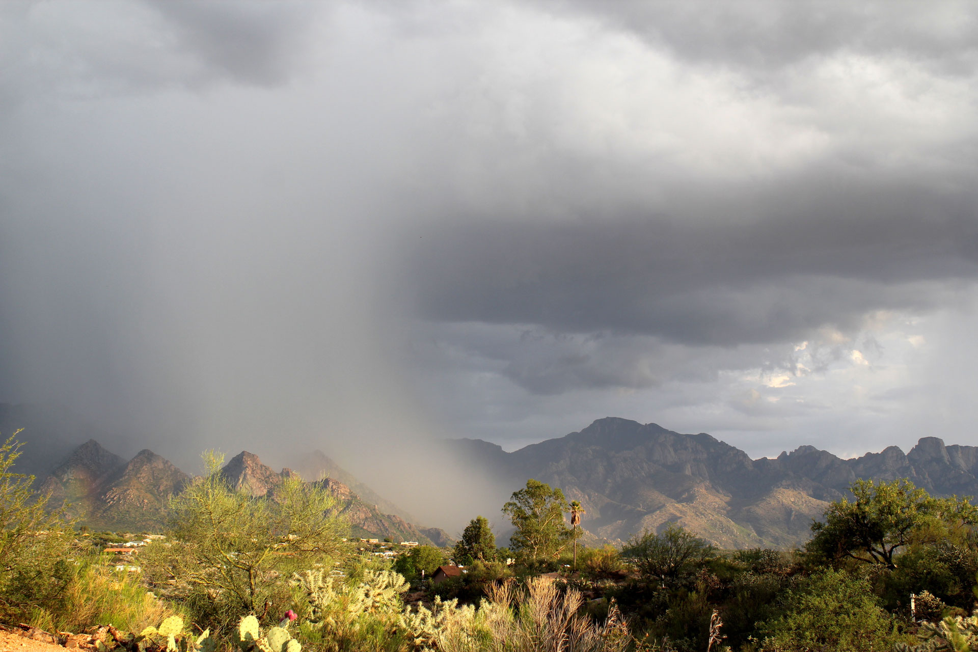 Harvesting the Monsoon: Practical Rainwater Capture for Tucson Homeowners