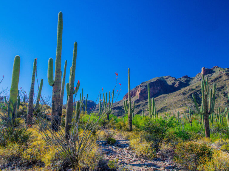 Fairfield Homes photo 3