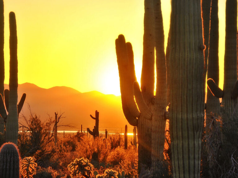 COMMUNITIES-FAIRFIELD-Cottonwood-Header