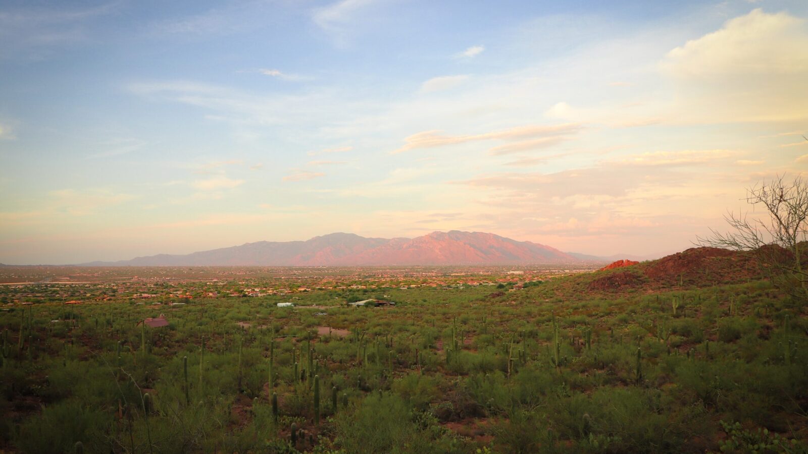 Arizona desert landscape