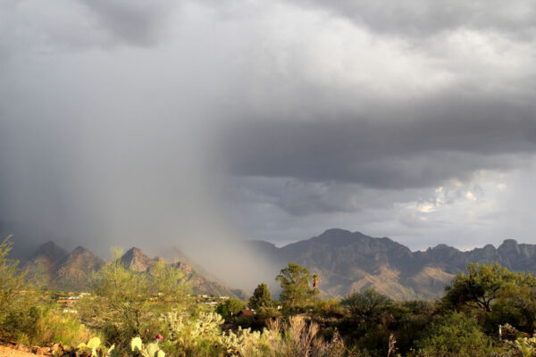 tucson-monsoon-rainwater-harvesting-homeowner