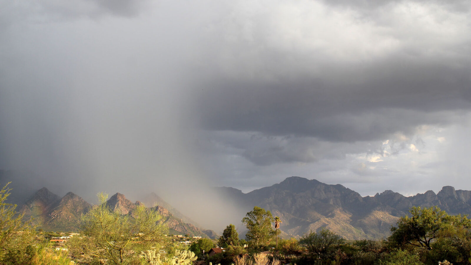 tucson-monsoon-rainwater-harvesting-homeowner