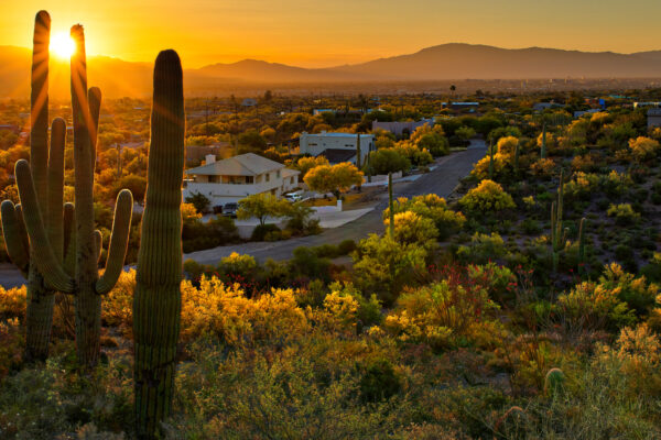 Tucson national
